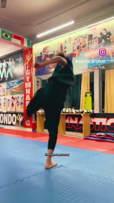 Acrobatic Kicks & Flips